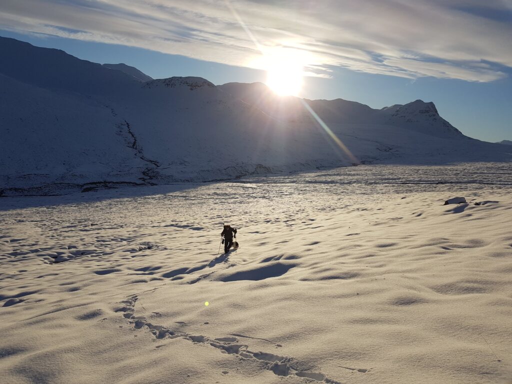 Hiker in the Snow